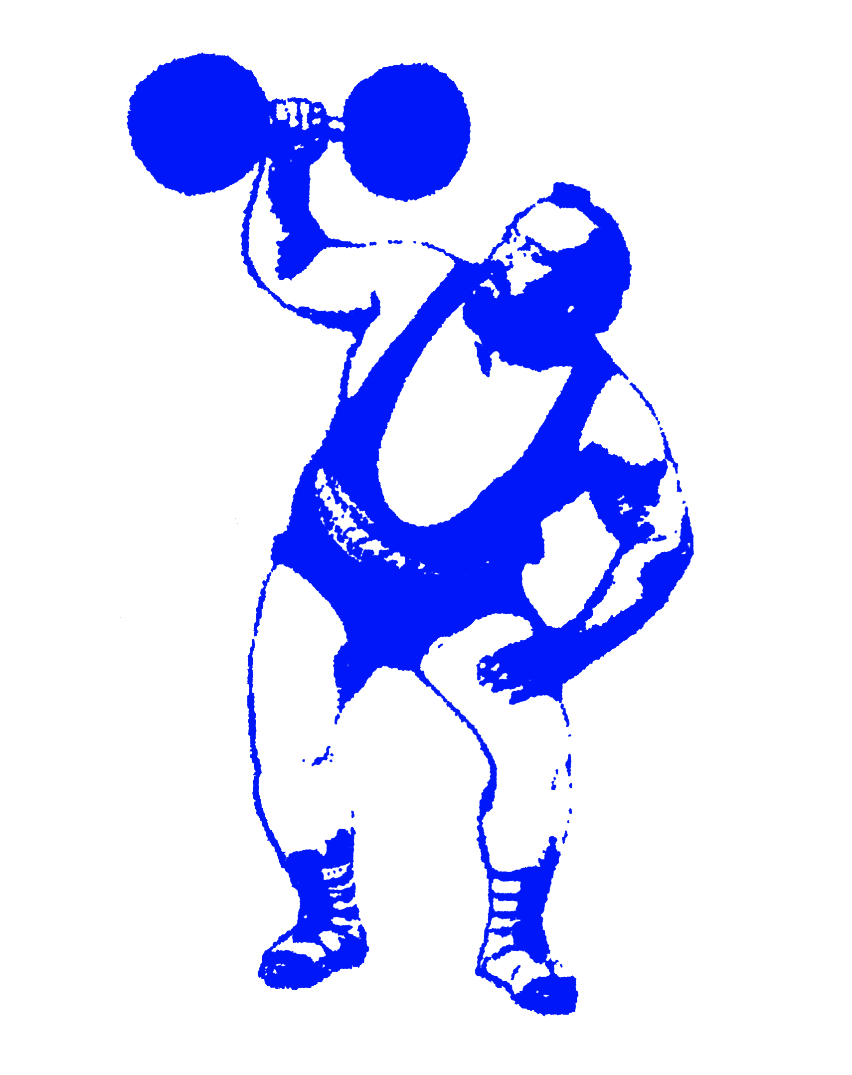 Weighted blank t-shirts